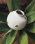 Klondikes Moon Jar
